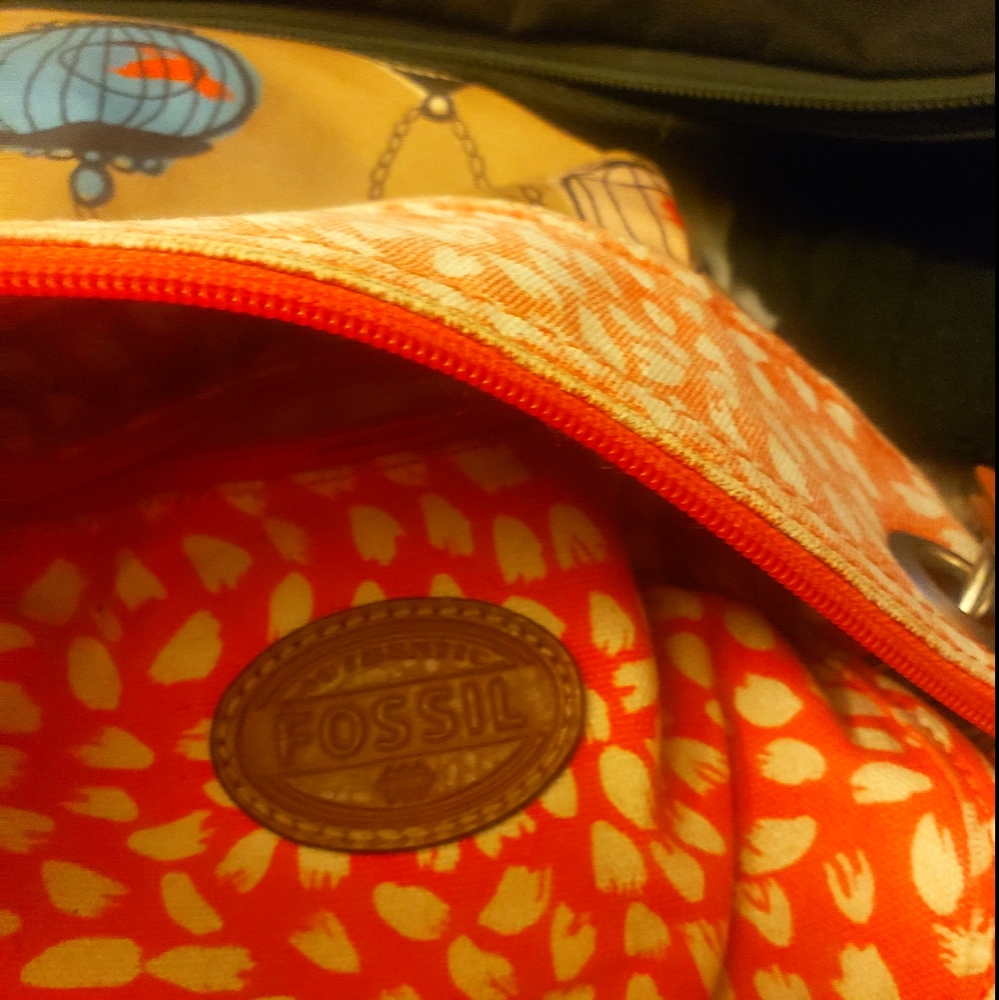 Fossil purse